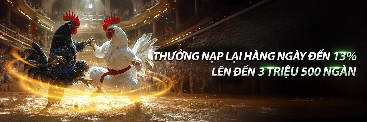Hình ảnh chính blog Zowin Casino